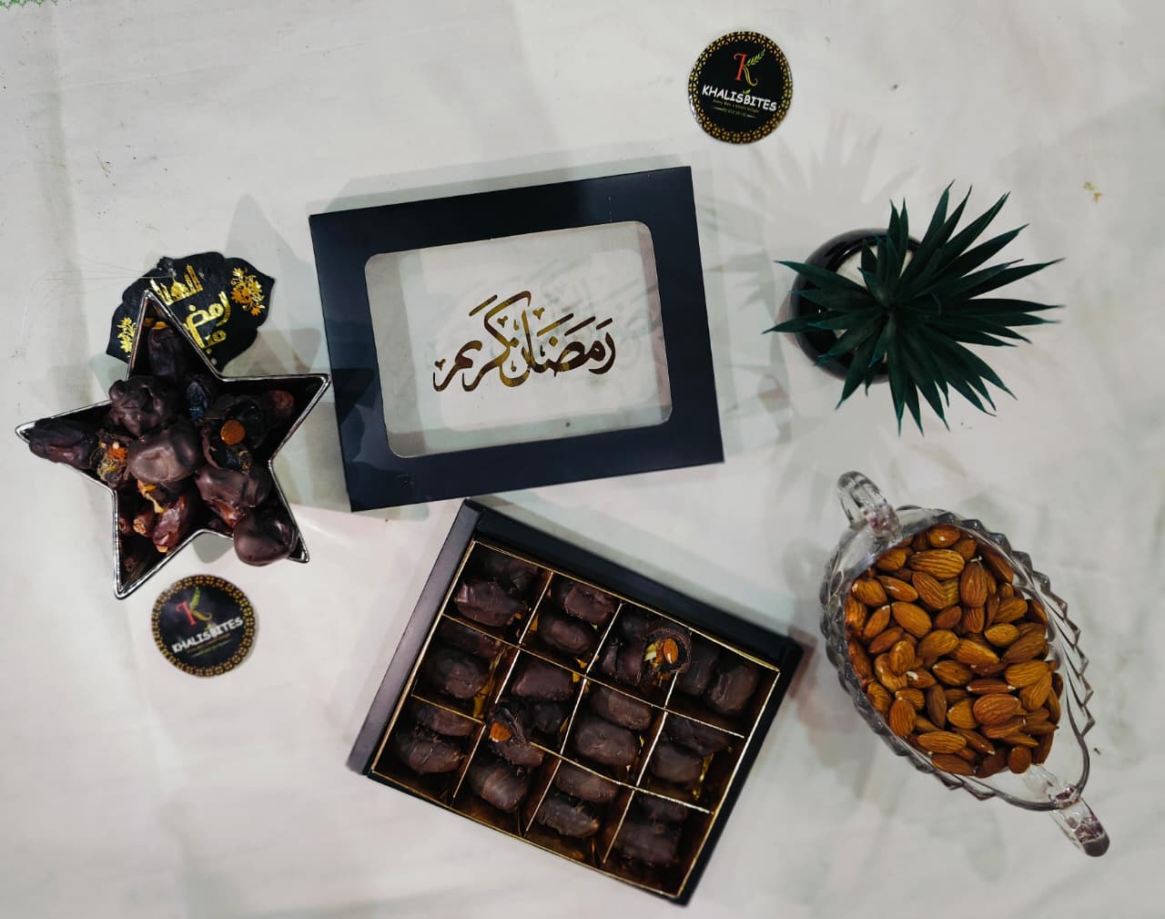 WhatsApp Image 2026-02-26 at 11.25.41 PM